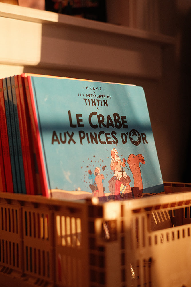 Tintin
