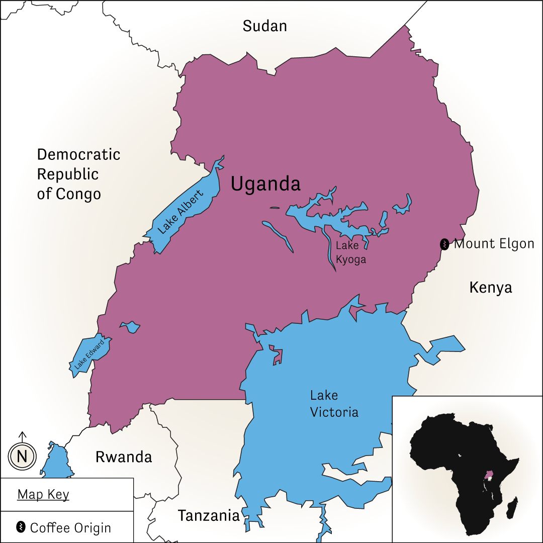 Counter Culture Coffee - Mountain Harvest (Organic)